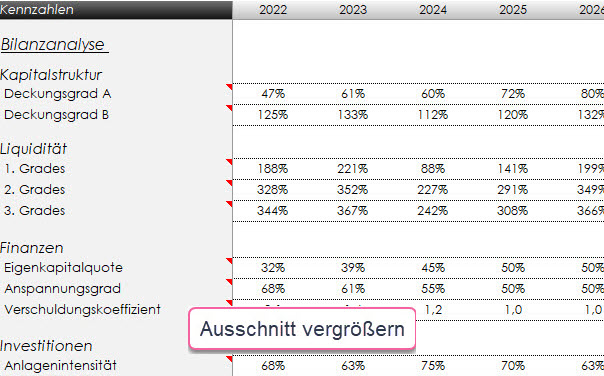 Bilanzanalyse und Kostenanalyse