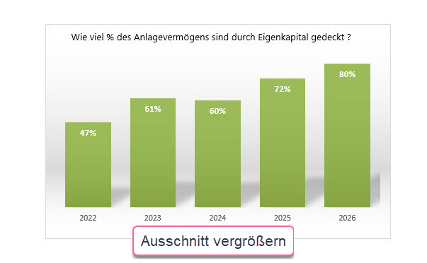 Diagramme: Kapitalstruktur, Eigenkapitalquote, Investitionsquote, Abschreibungsintensität
