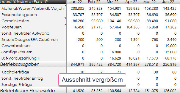 Liquiditätsplan