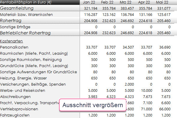 Rentabilitätsplan, Ertragsplan, Erfolgsplan, GuV, Budgetplan